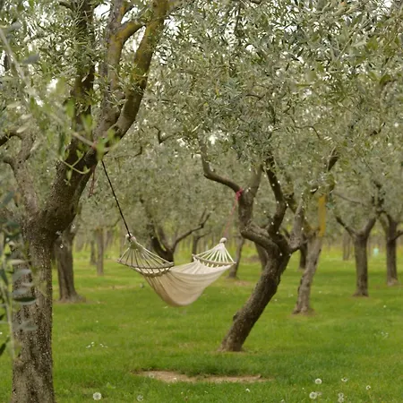 Oda ve Kahvaltı La Cipressina
