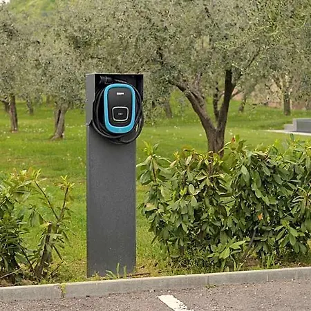 La Cipressina